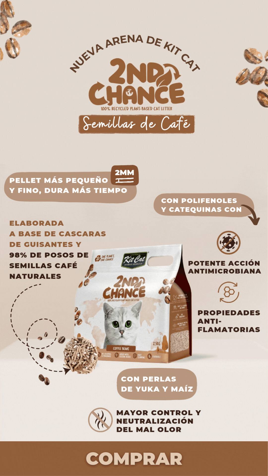 Arena Second Chance Kit Cat